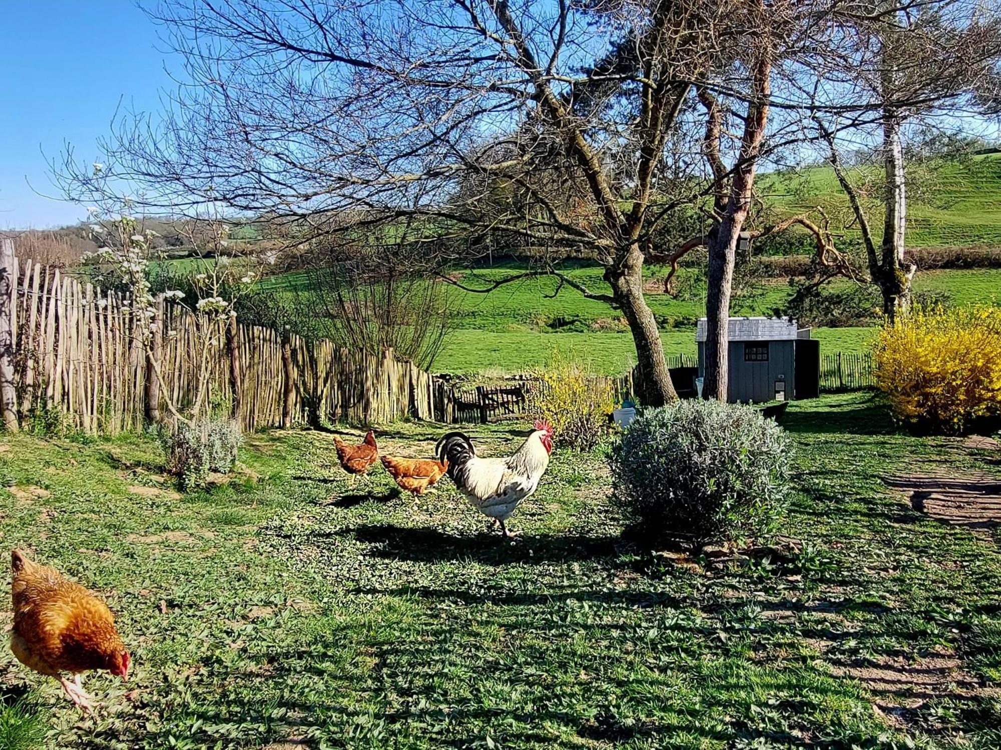 Maison Du Grand Moulin Saint-Aubin-en-Charollais Esterno foto