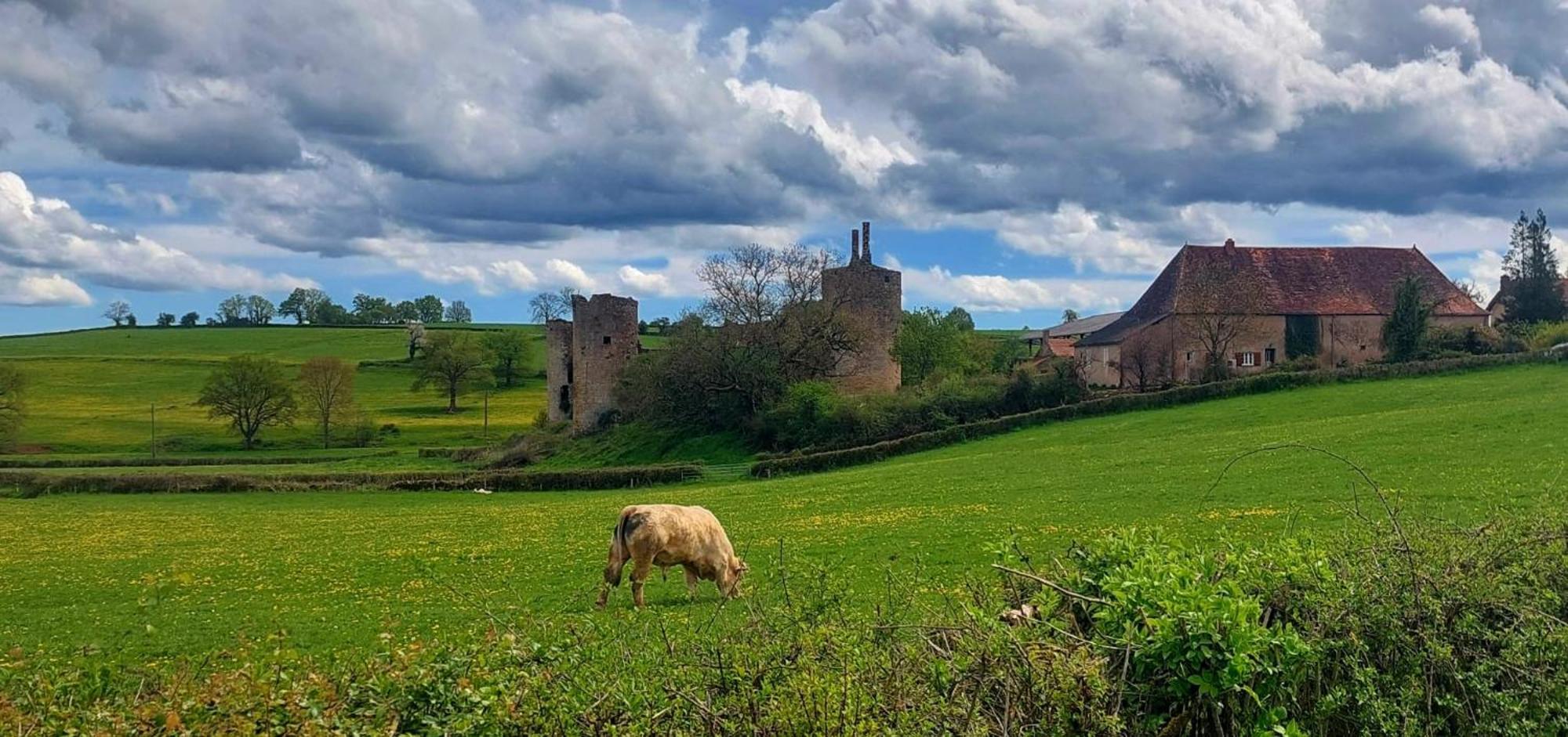 Maison Du Grand Moulin Saint-Aubin-en-Charollais Esterno foto