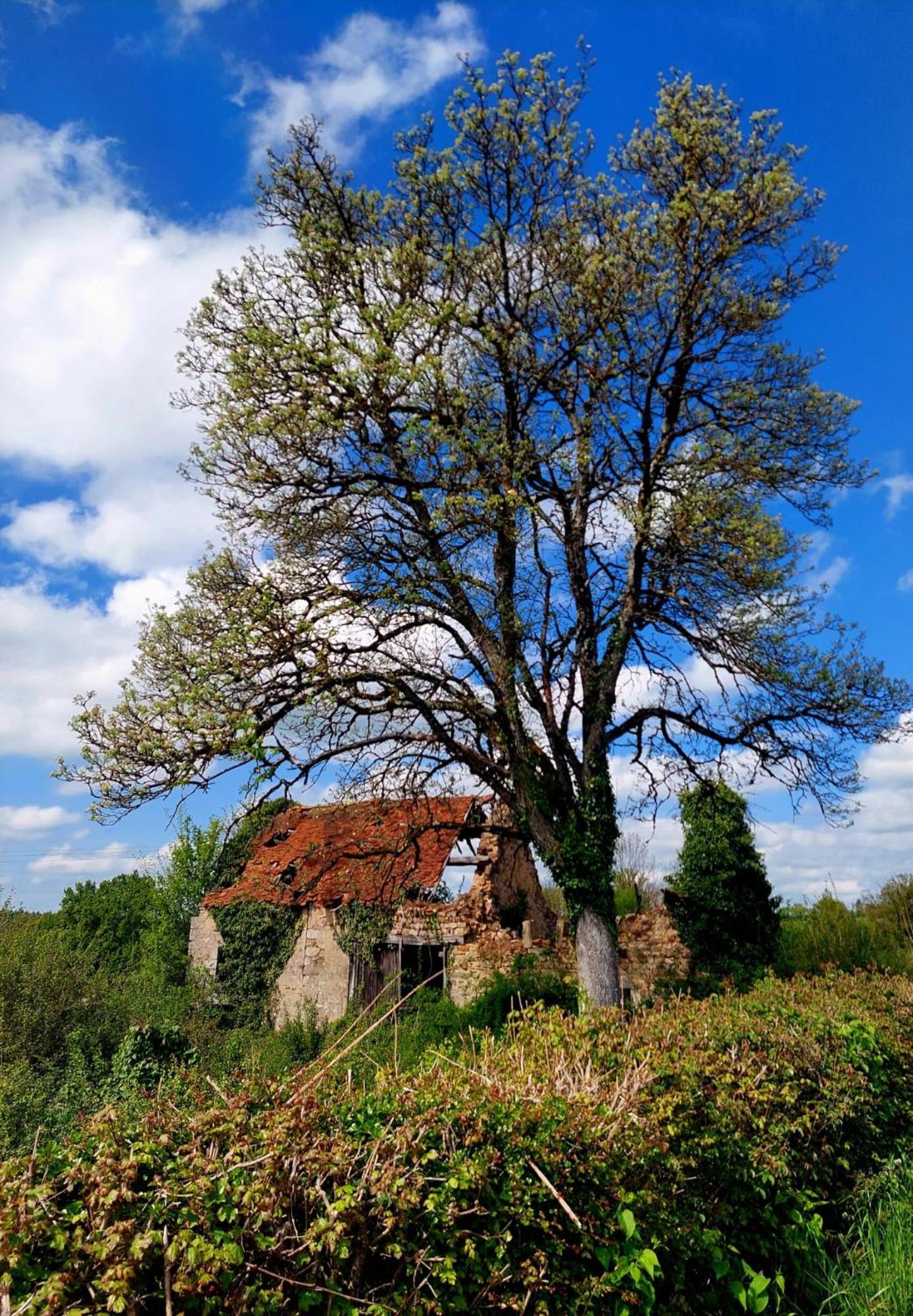 Maison Du Grand Moulin Saint-Aubin-en-Charollais Esterno foto